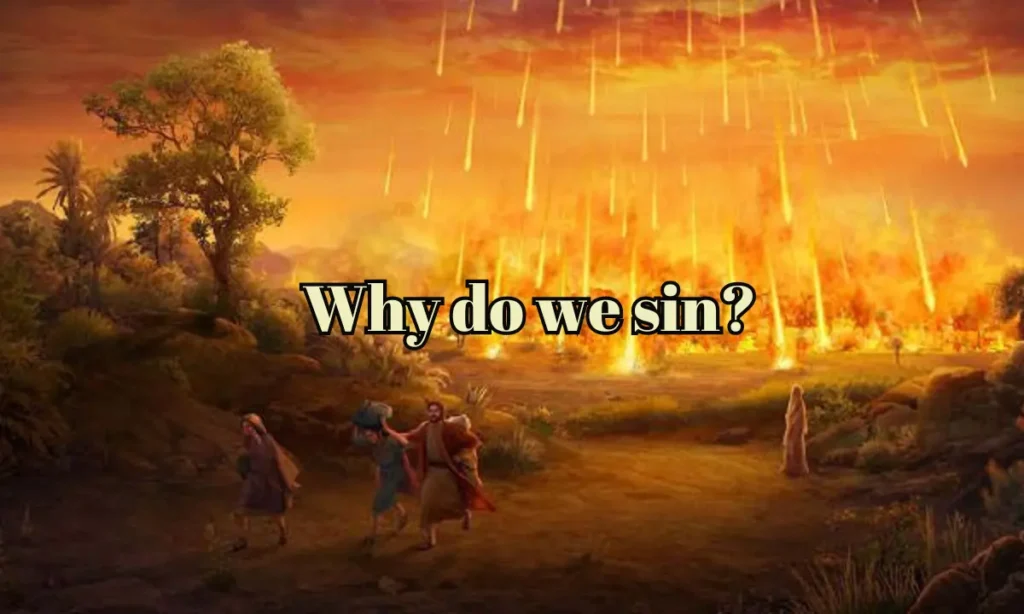 Why Do We Sin?