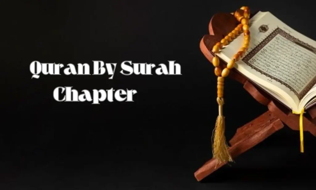 Quran By Surah Chapter